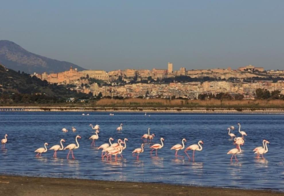 Stupenda Suite A Cagliari Piazza Galilei المظهر الخارجي الصورة